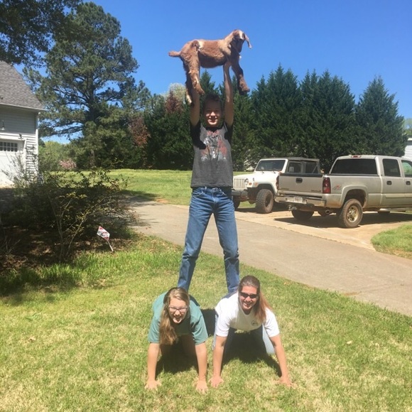 Meet your Posher, the Old Goat - Picture 13 of 13